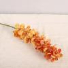 Butterfly Orchid Simulation Moth Orchid Real Touch Faux Phalaenopsis  Wedding Party Favors