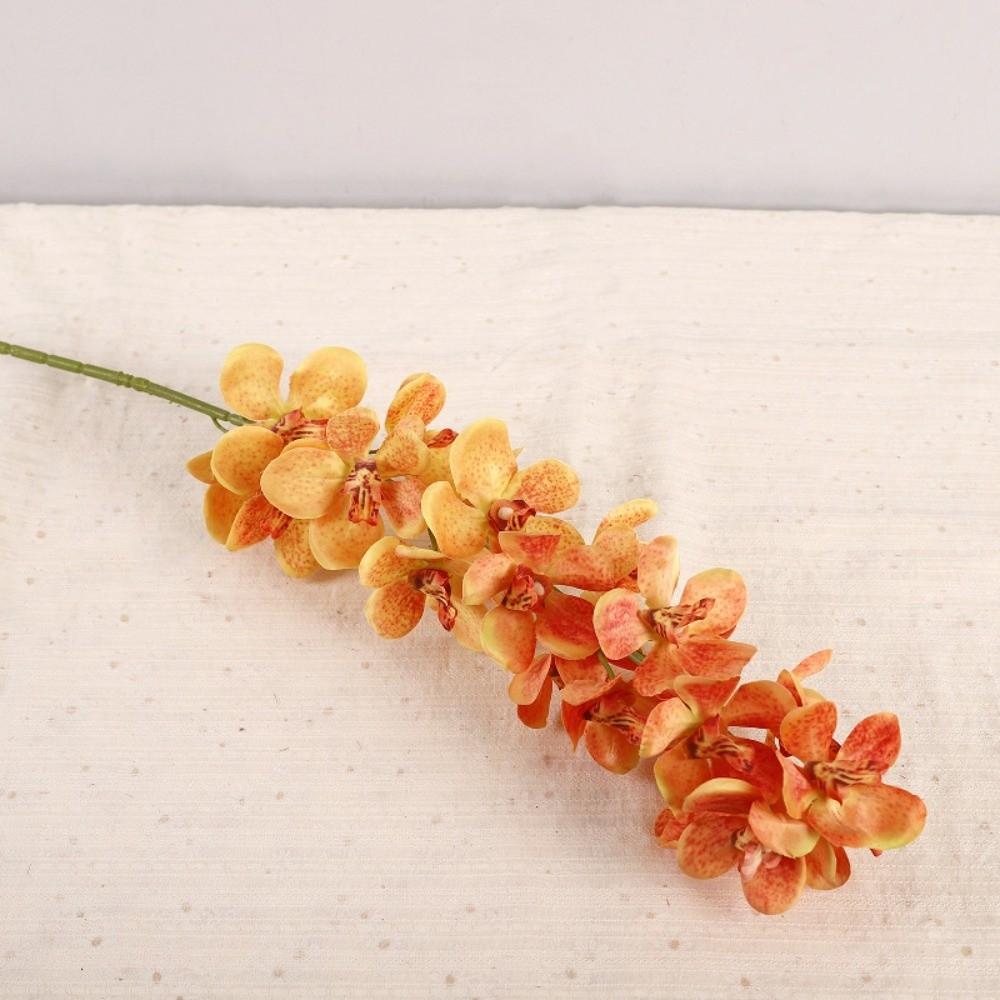 Butterfly Orchid Simulation Moth Orchid Real Touch Faux Phalaenopsis  Wedding Party Favors