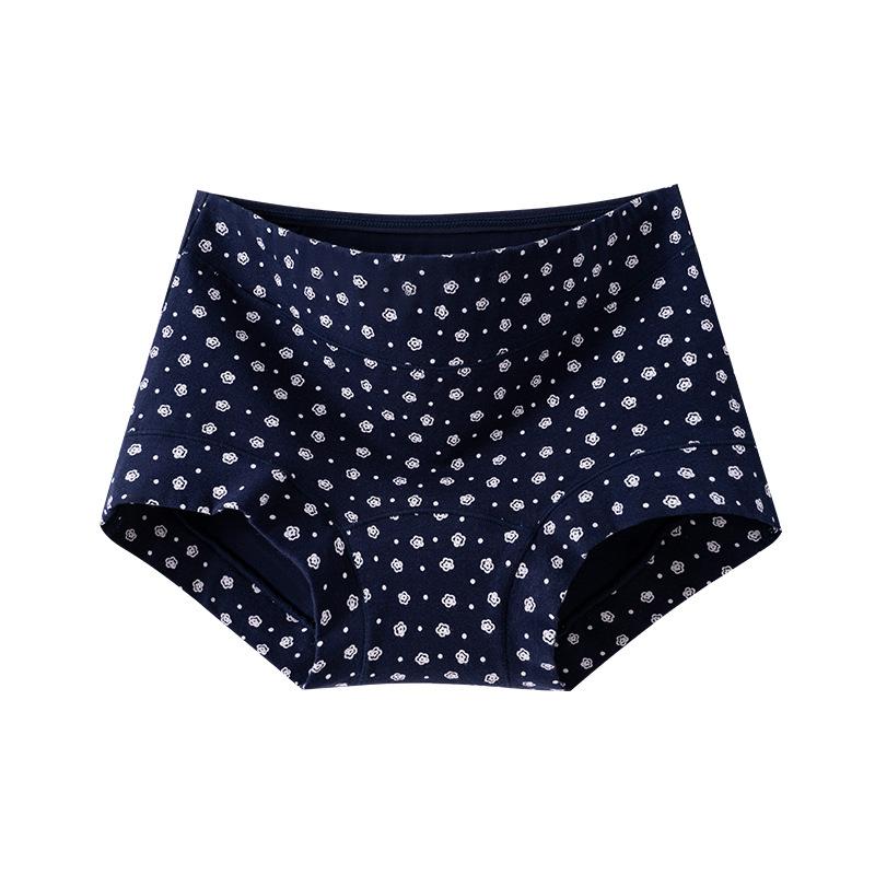 Intimo da Donna Taglie Forti in Puro Cotone a Vita Alta con Fascia Addominale Antibatterico a Cavallo Lungo con Angolo Piatto