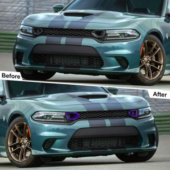 2x Front Grille Erts Mesh Trim Accessories for 2015- Dodge Charger Purple