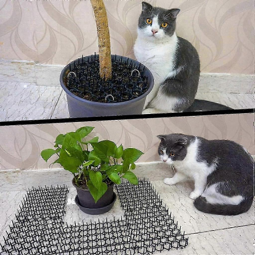 12 vienetų Anti-Cat kilimėlis Anti-Cat kilimėlis su dygliais Plastikinis sodininkystės kilimėlis Atbaidantis Anti-Cat tinklas su 8 kuoliukais Kasimo stabdiklis Atbaidantis laukiniams gyvūnams