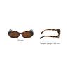 MIU MIU Logo-Embellished Oval Sunglasses Women Sunglasses Tortoiseshell SMUB09E14LFE20VC052