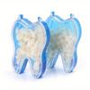 50Pcs/Box Dental Crowns Resin Realistic Dental Crowns Porcelain Temporary Teeth Crown Oral Teeth Whitening Anterior Molar Crown.
