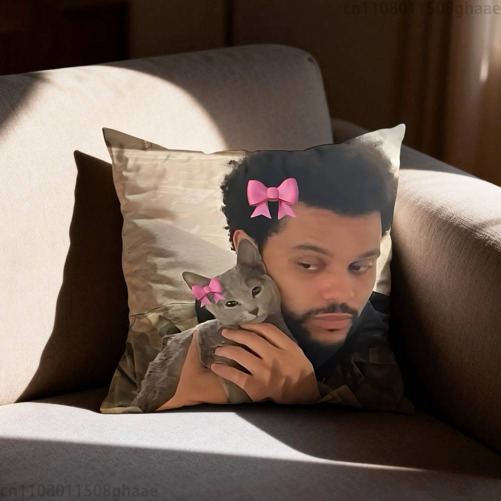 The Weeknd XO  Pillow Case Antidustmite Pillowcase Invisible zipper silky short plush Sofa cushion cover