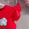 2026 Sommer Florales Baby-Kleid mit Puffärmeln & Geripptes Body-Set mit Haarreif & Schmetterlingsrock