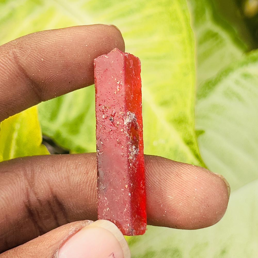 A+ Certified 33.25 Ct Natural Uncut Red Ruby Rough Gemstone Best Gift For Mom