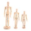 Mannequin Model, Articulated Wooden, Learning Shadows and Lights, Suitable for Photographic Props, Desk Toy, 4.5 Inch