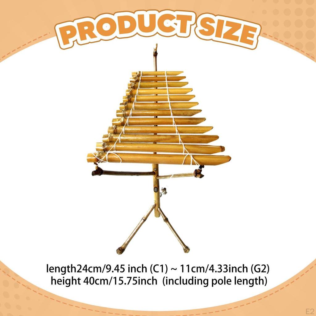 T' Rung Vietnamese Traditional Musical Instrument Ethnic with Stand Xylophone Percussion