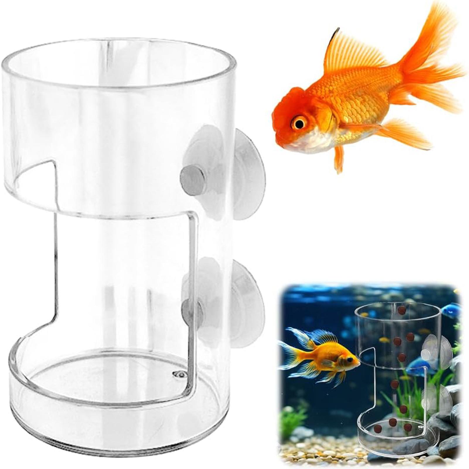 Fish Feeding Device Floating Aquarium Feeder Circle for Parrot Fish Tank Automatic Food Dispenser Floating Fish Food Feeder