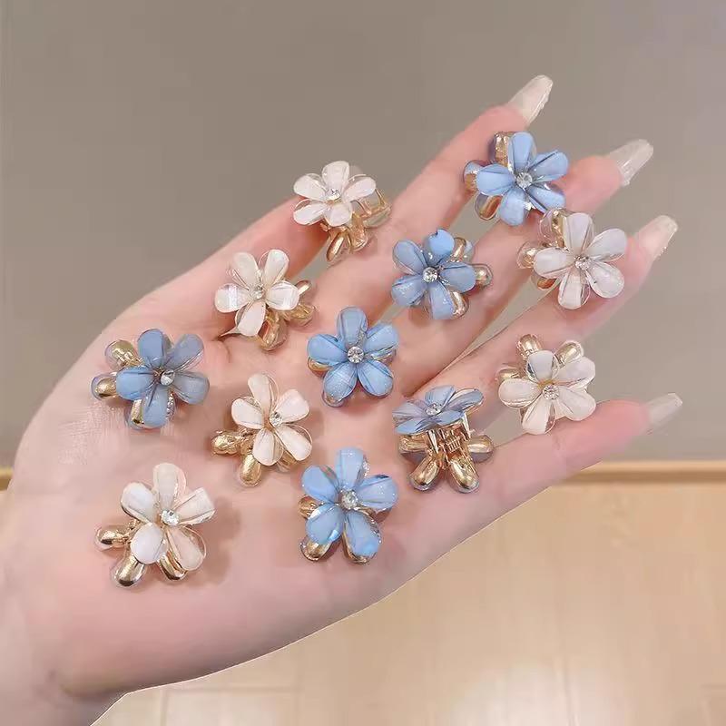 Princess Mini Claw Hair Clips for Women - Summer Side Bang Accessory