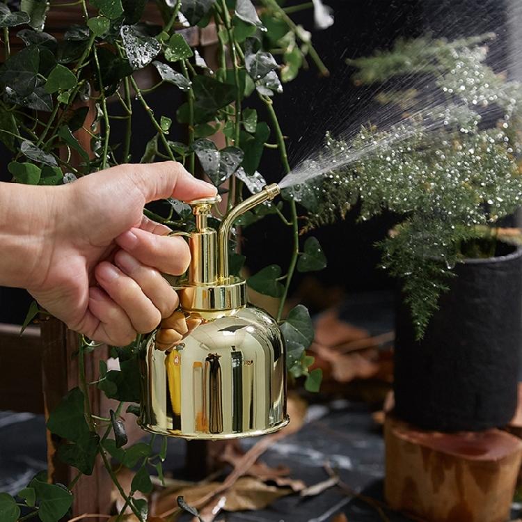 Ergonomische Rostfreie Edelstahl Mini-Gießkanne Geeignet für müheloses Gießen in kleinen Räumen Innen- und Außenbereich