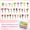 30 Pcs Mini Don'T Forget Me Flower Bouquets Purple Natural Dried Flowers Bouquet Dry Flower&Leaves Lavender Dried Embossing Flow