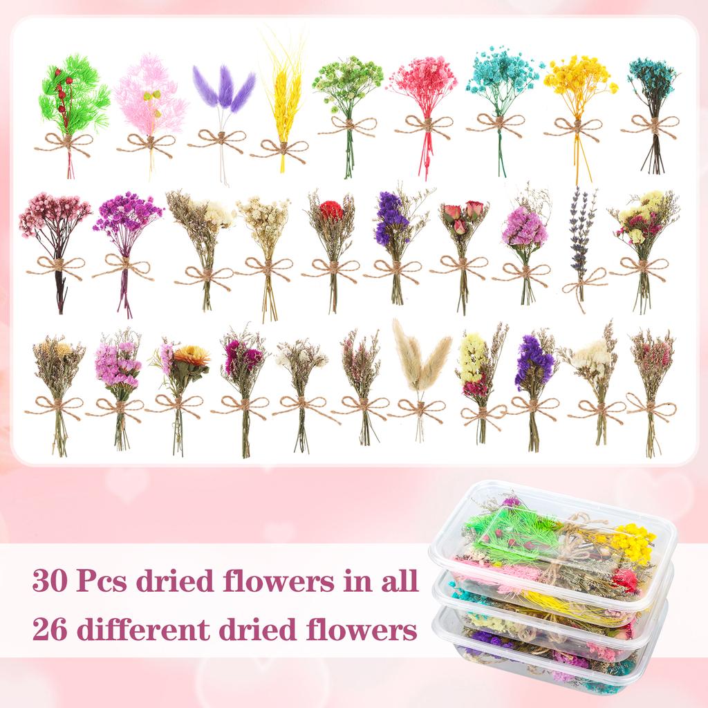 30 Pcs Mini Don'T Forget Me Flower Bouquets Purple Natural Dried Flowers Bouquet Dry Flower&Leaves Lavender Dried Embossing Flow