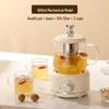 Wutuo Smart Glass Health Pot