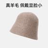 Premium sense bucket hat autumn and winter women's new wool hat winter warm basin hat show face small bucket hat