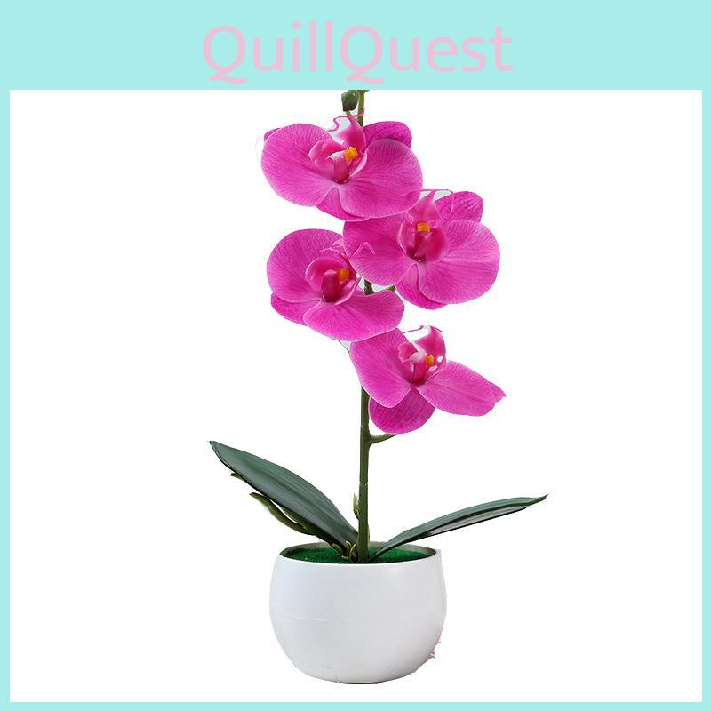 Simulace Orchidej Phalaenopsis Květ Bonsaj Domácí Obývací Pokoj Dekorace Pokoj