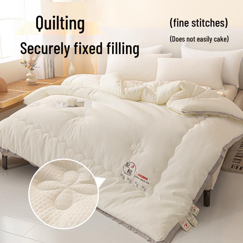Thickened Warm Cotton-Soy Quilt for All Seasons - Single & Double Dorm Bedding