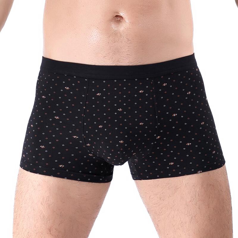Xiaohushi Men's Skin-Friendly Cotton Print Boxer Briefs 2-Pack