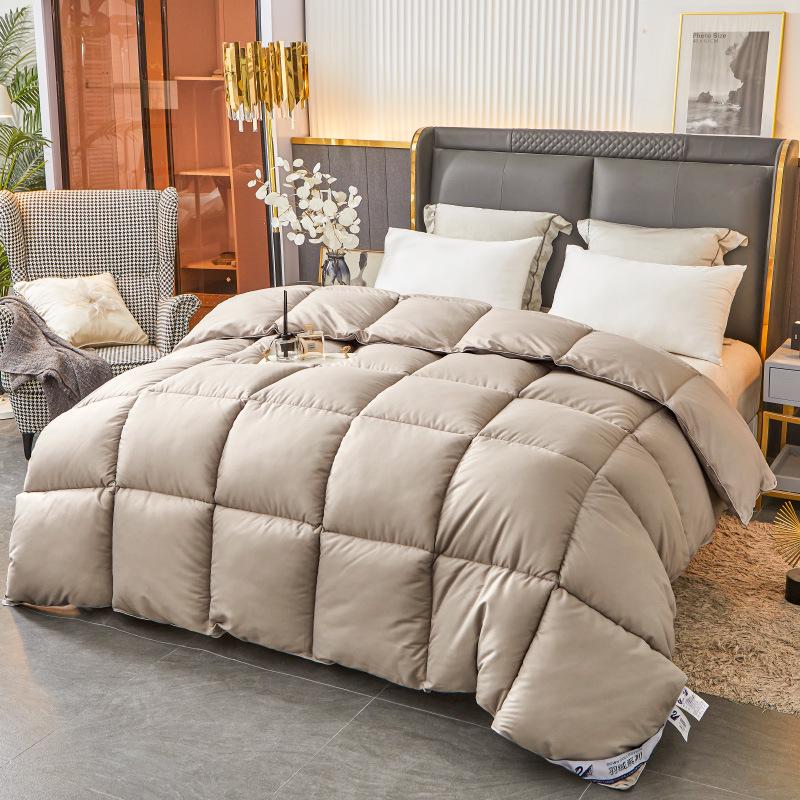 Luxury Pure Cotton Down Velvet Quilt – Thickened for Winter, Ideal for Five-Star Hotels, Perfect for Spring and Autumn