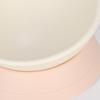 Anti-Tip Tilted Pet Bowl Slanted Mouth Neck Care Bowl Easy Clean Food & Water Bowl  Indoor Use