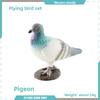 Pvc Bird Magpie Pigeon Model Set With Realistic Design For Nature Decor And Collectors