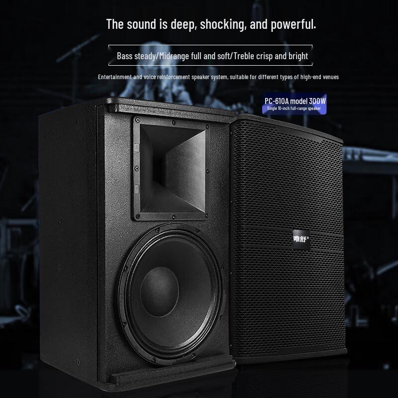Weishu PC-610 Professional 10-inch Full-Range Audio System Set