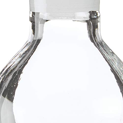 Hirota Glass Original Soy Sauce Dispenser, 100ml, 972-G