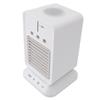Portable Air Conditioner Multifunctional 3 Levels Oscillating Spray Humidifier Fan Desktop Water