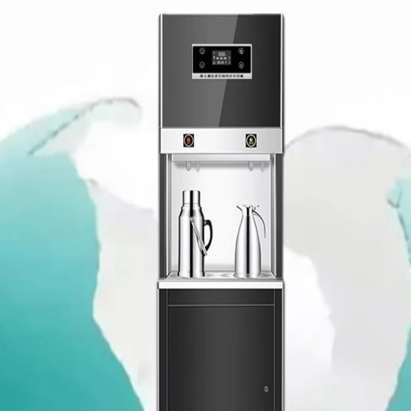 LISM Electric Hot Water Dispenser with 5-Stage RO Filter