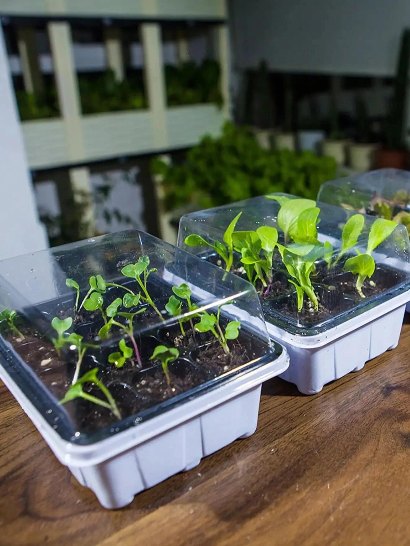 

3/6 шт. - Пластиковая рассадная коробка с 12 отверстиями, рассадная коробка с посевным лотком и лотком для рассады