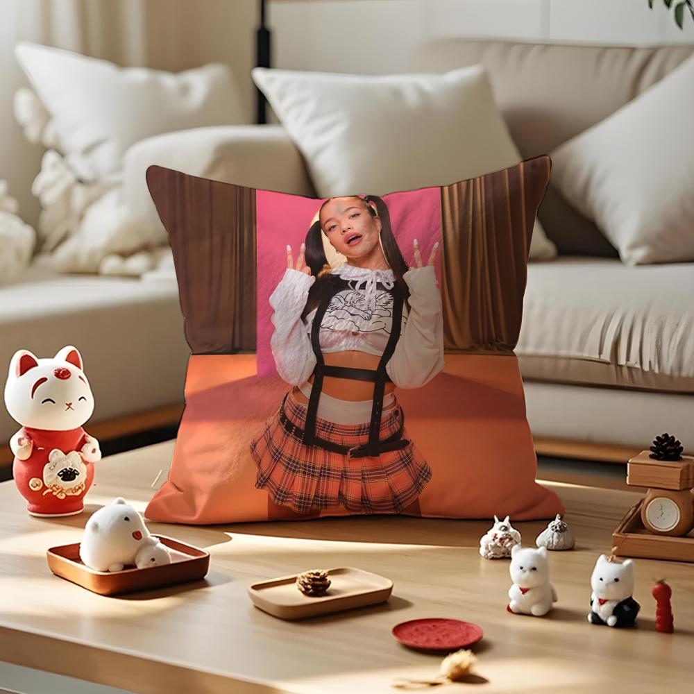 

Singer EEmilia Mernes Cushion Cover Silky Short Plush Invisible Zipper Dustproof Sofa Pillow Case for Home Decor 30x30cm