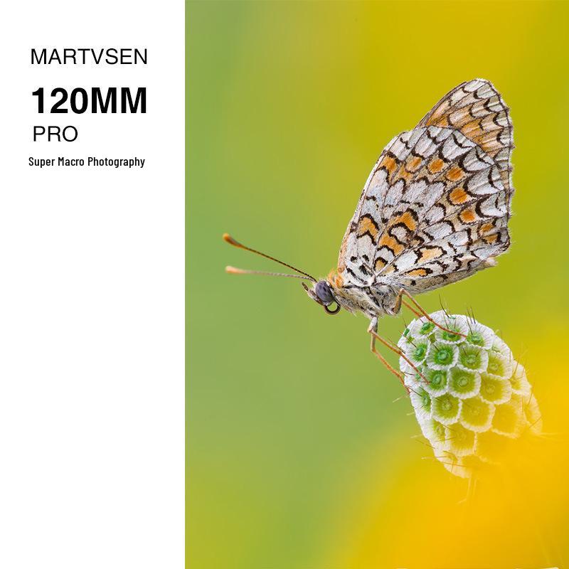 Motor Weisen HD Mobile Macro Lens for Jewelry, Flowers, Nail Art, and Eyelash Photography