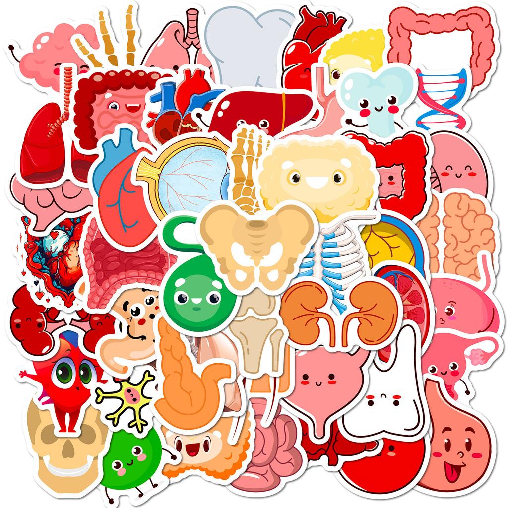 50 Cute Human Organ Stickers for Decorating Cartoon Human Organ Children's Early Education Stickers