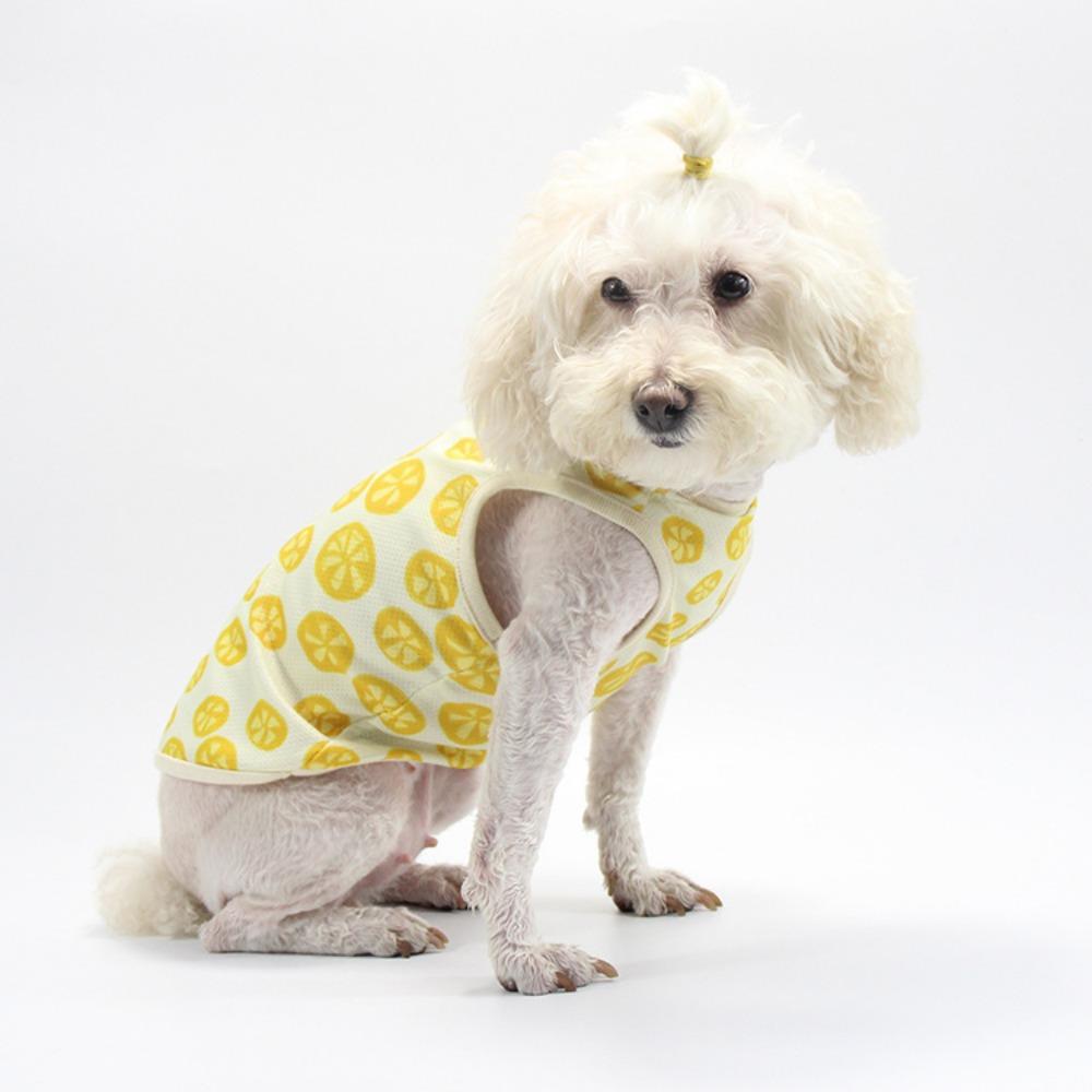 Fruit print Pomeranian teddy clothes, cute and thin medium and small dog pet vests, starting from 2 pieces after clearance.