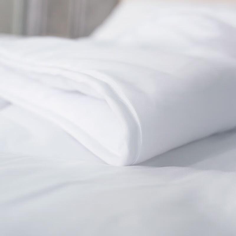 Mengjie Brushed Artemisia Fiber All-Season Quilt