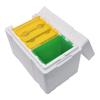 Green Foam Beehive Queen Mating and Rearing Box with Waterer - Single-Layer Pollination Box