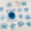 20pcs Transparent Flower Sticker PET Stickers Embelishment Stickers for Scrapbooking Journal Decor Album Diary Stickers