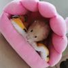Lovely Small Animal Houses for Hamsters Rabbits And Birds Decorative Homes Pet Nest Breathable Bed