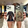 Кольоровий чохол для телефону для iPhone 17 16E 16 11 15 14 Pro MAX 12 13 MINI 7 8 Plus XR SE Посріблений IMD чохол Такса Сосисочна собака