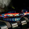 WOLFGANG WildWolf COLLAR wide x neck circumference (M size) 2.5cm 30-45cm [for medium-sized dogs]