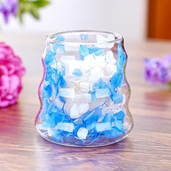 Dried Flowers Insulated Coffee Mug Double Wall Clear Glass Heat Resistant Tea Cup for Water