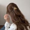Creative Hairpin Acetic Acid Hair Claw Colorful Floral Design Acetate Shark Clip Large Korean Style Flower Hair Clip Vacation