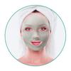 [Lindsay] Premium Tea Tree Modeling Mask 1kg