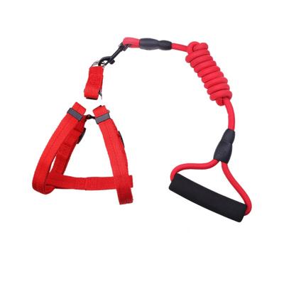 Small Pet Leash Dog Collar Walking Leash Dog Chain Small Dog Medium and Large Dog Adjustable Choke Collar