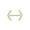 1PC PVD Titanium Nipple Piercing Bar For Women 14G Bezel Set CZ Front Facing Barbell Nipple Shield Ring Sexy Body Jewelry