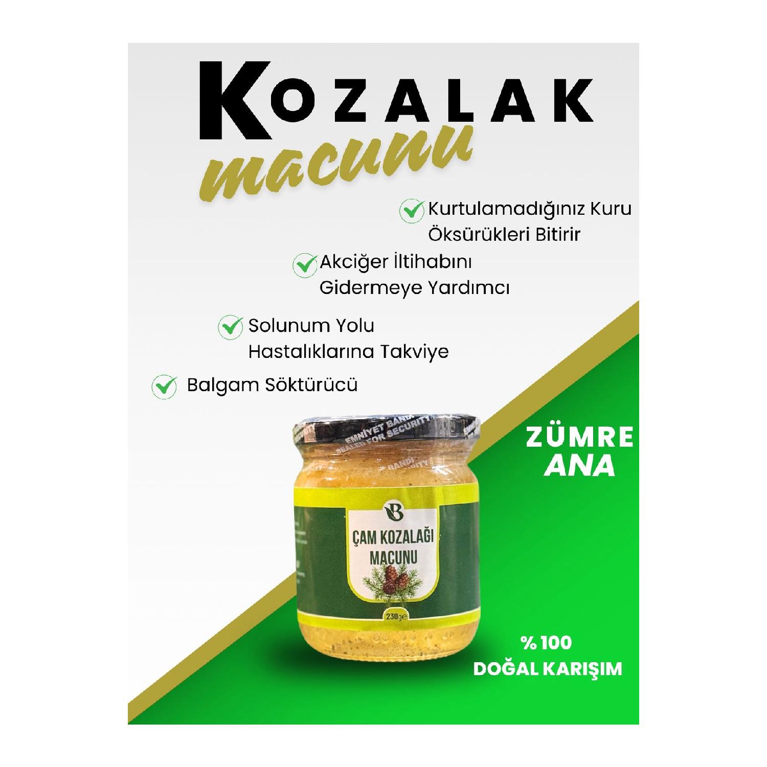 

Pine Cone Paste - Pine Cone Paste 230 Gr