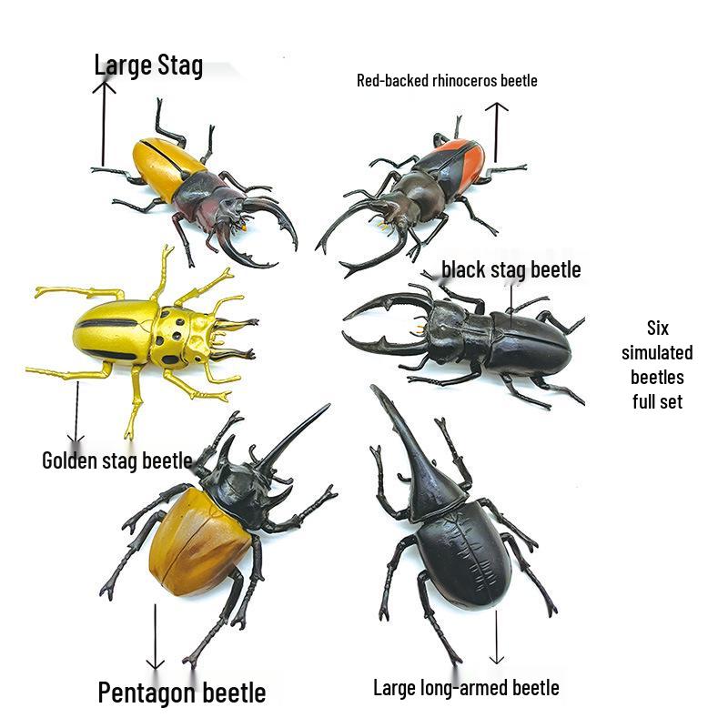

Большая модель носорога и жука-геркулеса: Жук-олень развивающая игрушка для детей