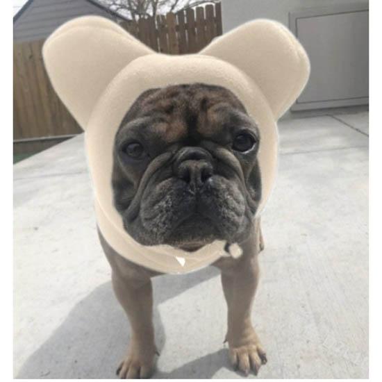 Niedliche Hunde Fleece Fledermausmütze Weich Warm Verstellbar Französische Bulldoggen Wintermützen Haustierbedarf