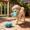 Easy To Clean Dog Toys Mushroom Treat Dispenser Toy, Rubber Chew Interactive for Dogs Teeth Cleaning Toy Aggressive Chewers, Puppies Destructive