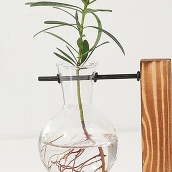 Plant Propagation Station with 1/2 Glass Vases And Wood Stand Decorative Tabletop Terrarium Planter Clear Glass Hydroponic Vase for Office Garden Home